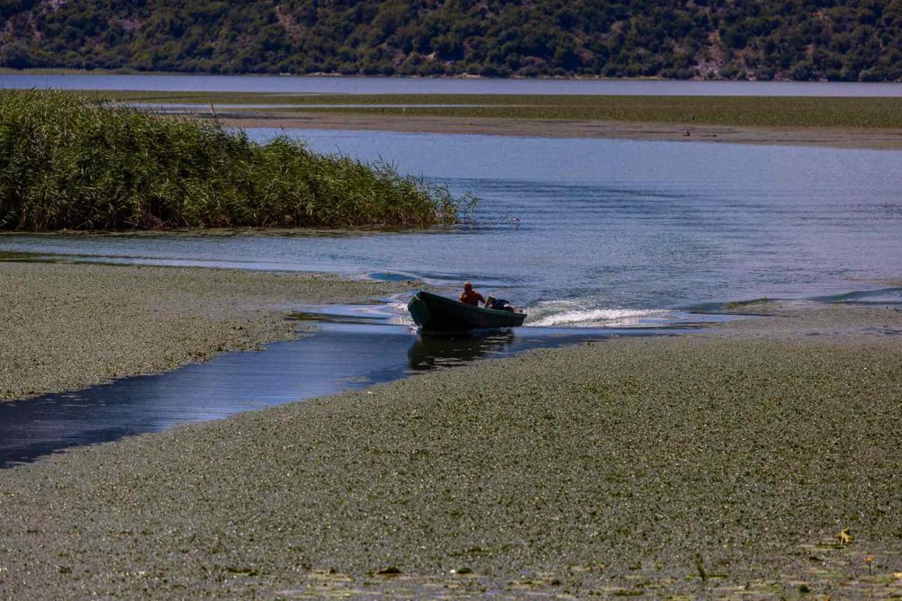 Lake House Buric Vranjina Εξωτερικό φωτογραφία